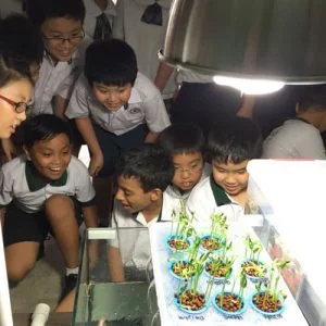 Aquaponics Workshop for Fernvale Primary School | Ecoponics Singapore | March, 2024