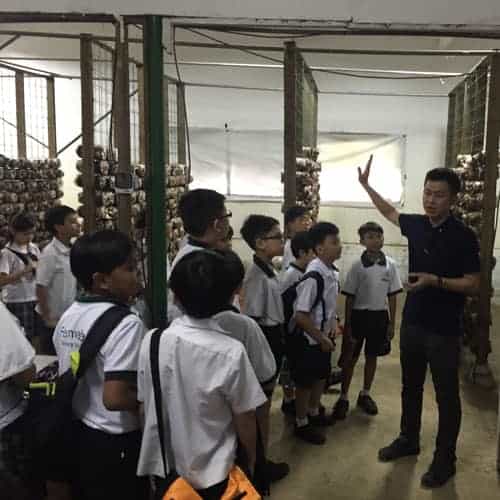Dynamic-Content-Widget-E1629Ee-2 - Ecoponics Singapore - 2025 Aquaponics-Workshop-For-Fernvale-Primary-School-4