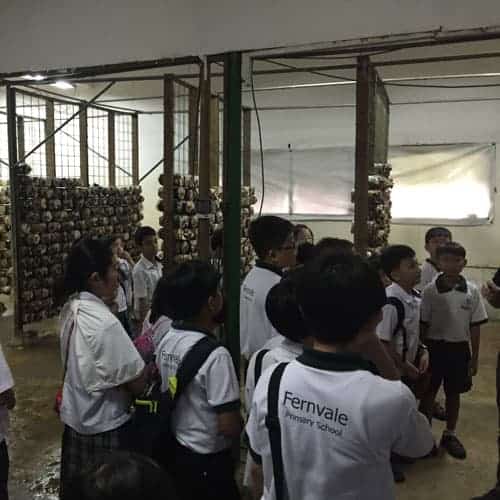 Dynamic-Content-Widget-E1629Ee-2 - Ecoponics Singapore - 2025 Aquaponics-Workshop-For-Fernvale-Primary-School-5