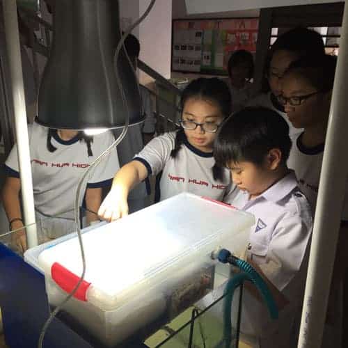 Dynamic-Content-Widget-E1629Ee-2 - Ecoponics Singapore - 2025 Aquaponics-Workshop-For-Nan-Hua-High-School-2