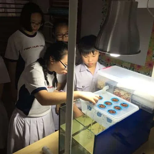 Aquaponics-Workshop-for-Nan-Hua-High-School
