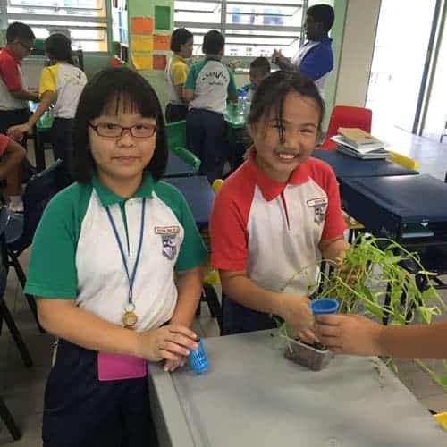 Dynamic-Content-Widget-E1629Ee-2 - Ecoponics Singapore - 2025 Aquaponics-Workshop-For-Primary-School-2
