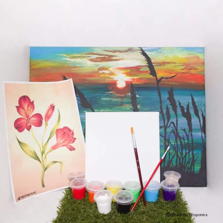 Art Jamming Kits | Ecoponics Singapore | December, 2023