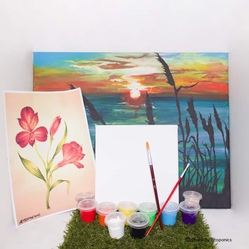 Stay Home Experience Kit Art Jamming DIY Kit Ecoponics Singapore