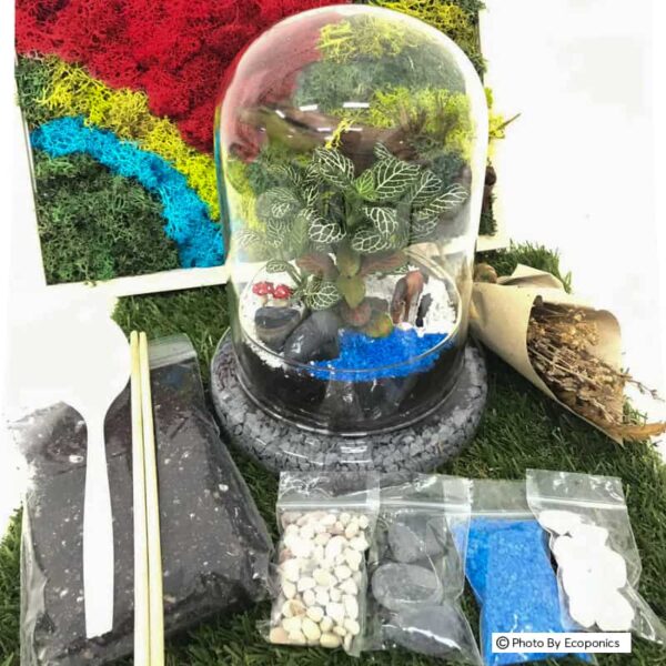 Stay Home Experience Kit: Bell Dome DIY Kit