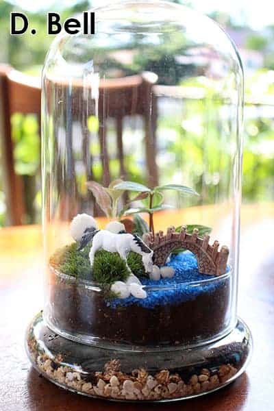 Converting Your Closed Terrarium Into An Open Terrarium - Terrarium Workshop Singapore - Ecoponics Singapore - 2025