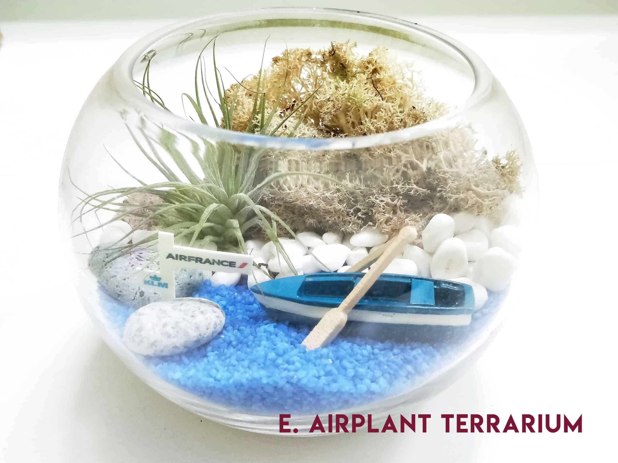 Air Plant Terrarium Workshops In Singapore - Air Plant Terrarium Workshop Singapore - Ecoponics Singapore - 2025