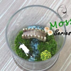 Exclusive Moss Series - EMS 02