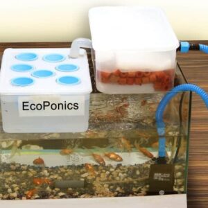 EcoEd™ Aquaponics Educational System