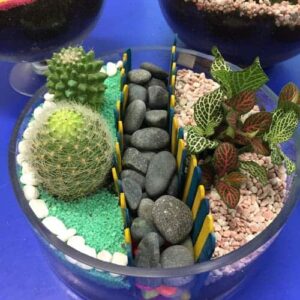 EcoPonics Open Terrarium 2 | Ecoponics Singapore | March, 2024