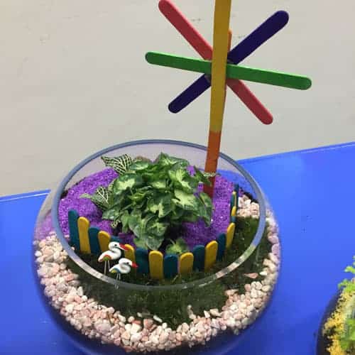 EcoPonics Open Terrarium 3 | Ecoponics Singapore | September, 2023 EcoPonics Open Terrarium 3 | Ecoponics Singapore | September, 2023