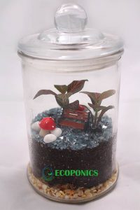 3 Popular Designs For Closed Terrariums - Closed Terrariums - Ecoponics Singapore - 2025