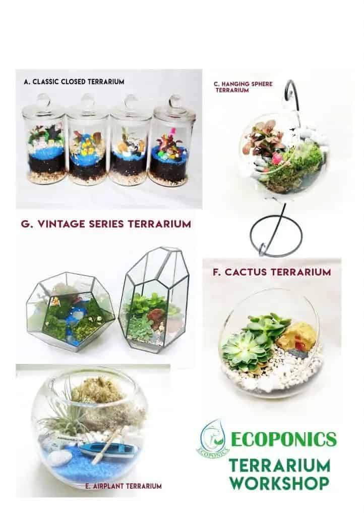 Terrarium Workshop | Terrarium Workshop | Ecoponics Singapore September 2021
