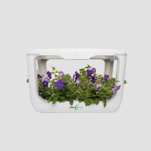 growMe Hydroponics Kit by indoorGreens