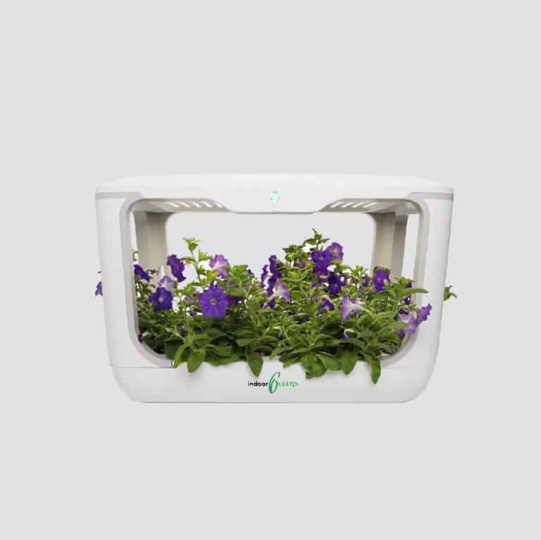 Hydroponics Workshop - Hydroponics - Ecoponics Singapore - 2025 Hydroponics Workshop - Hydroponics - Ecoponics Singapore - 2025