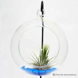 Hanging Sphere (Glass Pocket)