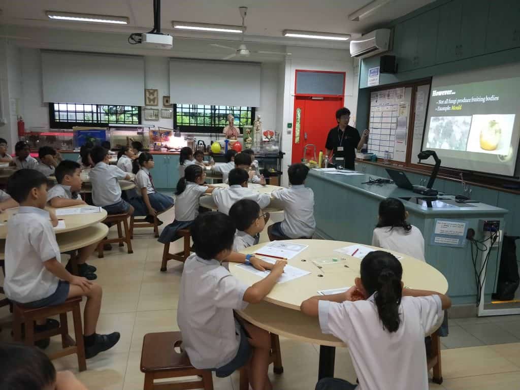 Terrarium Workshops For Students - Composting - Ecoponics Singapore - 2025