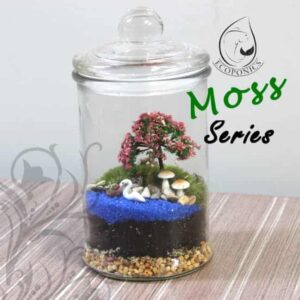 Moss Series - MS02