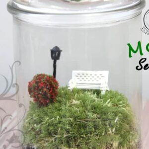 Moss Series - MS03