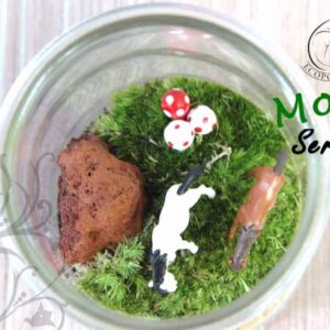 Moss Series - MS04