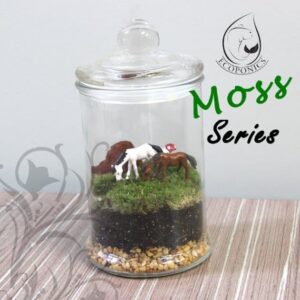 Moss Series - MS04