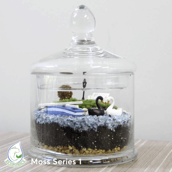 Exclusive Moss Series - EMS01