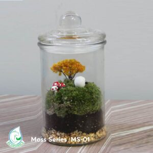 Moss Series - MS01