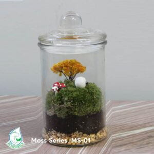 Moss-Series-1