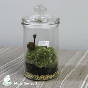 Moss-Series-3-2