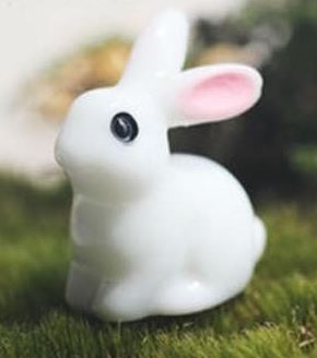 Rabbit-1-1.jpg