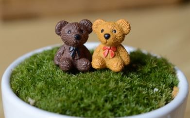 Teddy-Bear-2-1.jpg