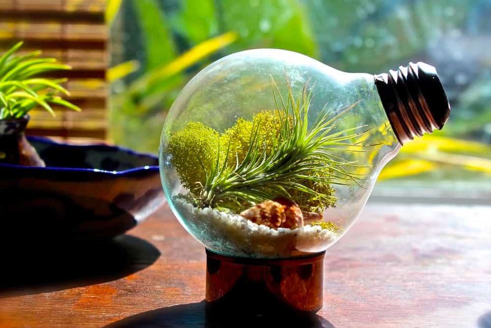 Upcycling - Upcycling Workshops - Ecoponics Singapore - 2025