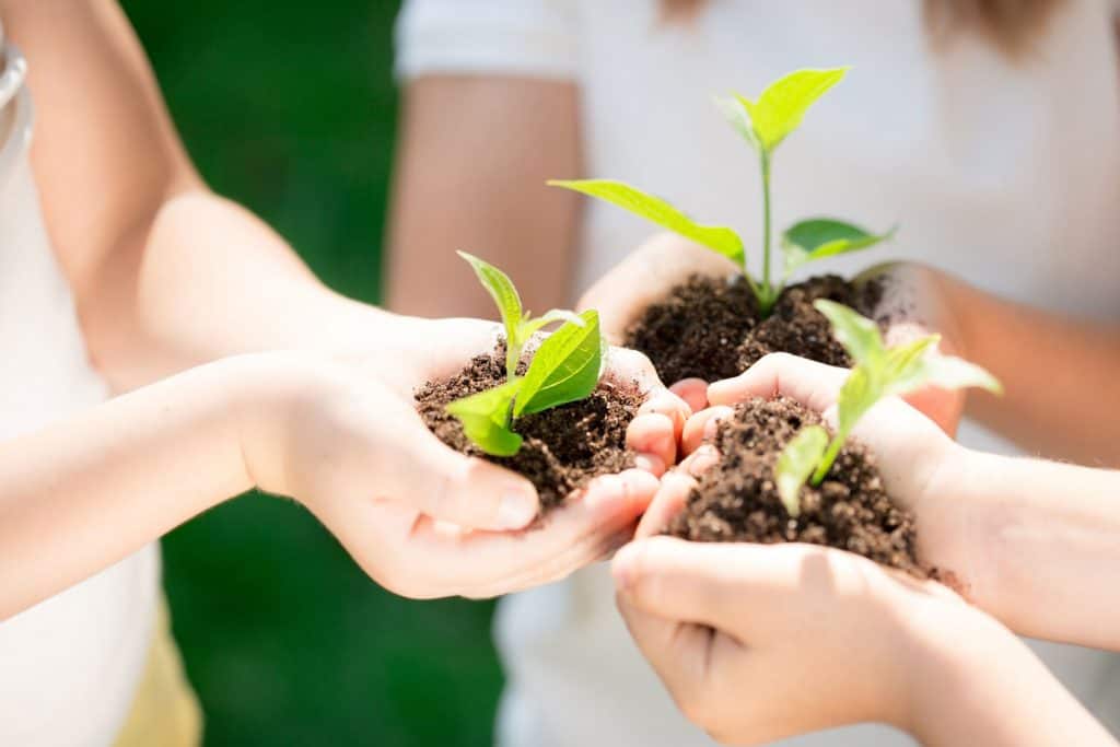 Food Waste Learning Journey - Food Waste Learning - Ecoponics Singapore - 2025 Food Waste Learning Journey - Food Waste Learning - Ecoponics Singapore - 2025