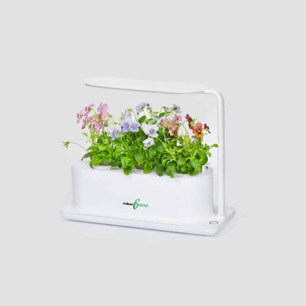 growMini growMini