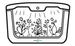 hydroponics illustrations3 | Ecoponics Singapore | September, 2023