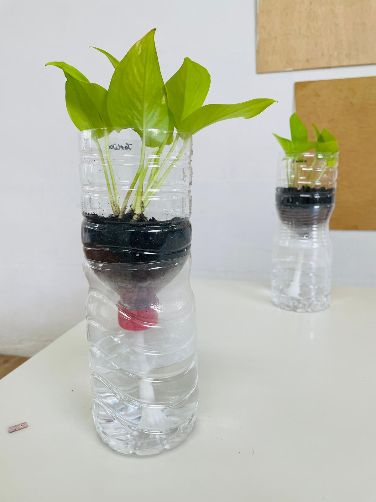 Upcycled PET Bottle Self-Watering Planter