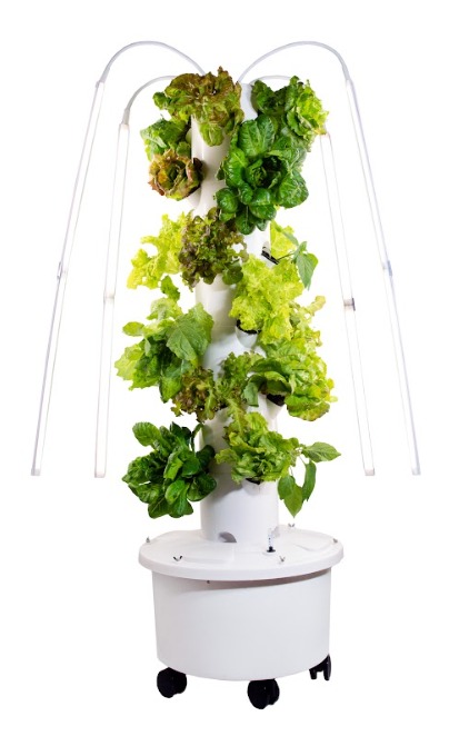 Aeroponics Singapore