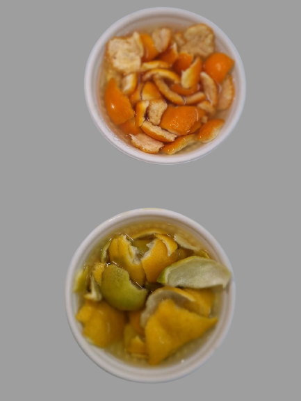 photo1690949420 1 removebg preview 1 | Ecoponics Singapore | December, 2023 Citrus Peel Cleaner Workshop