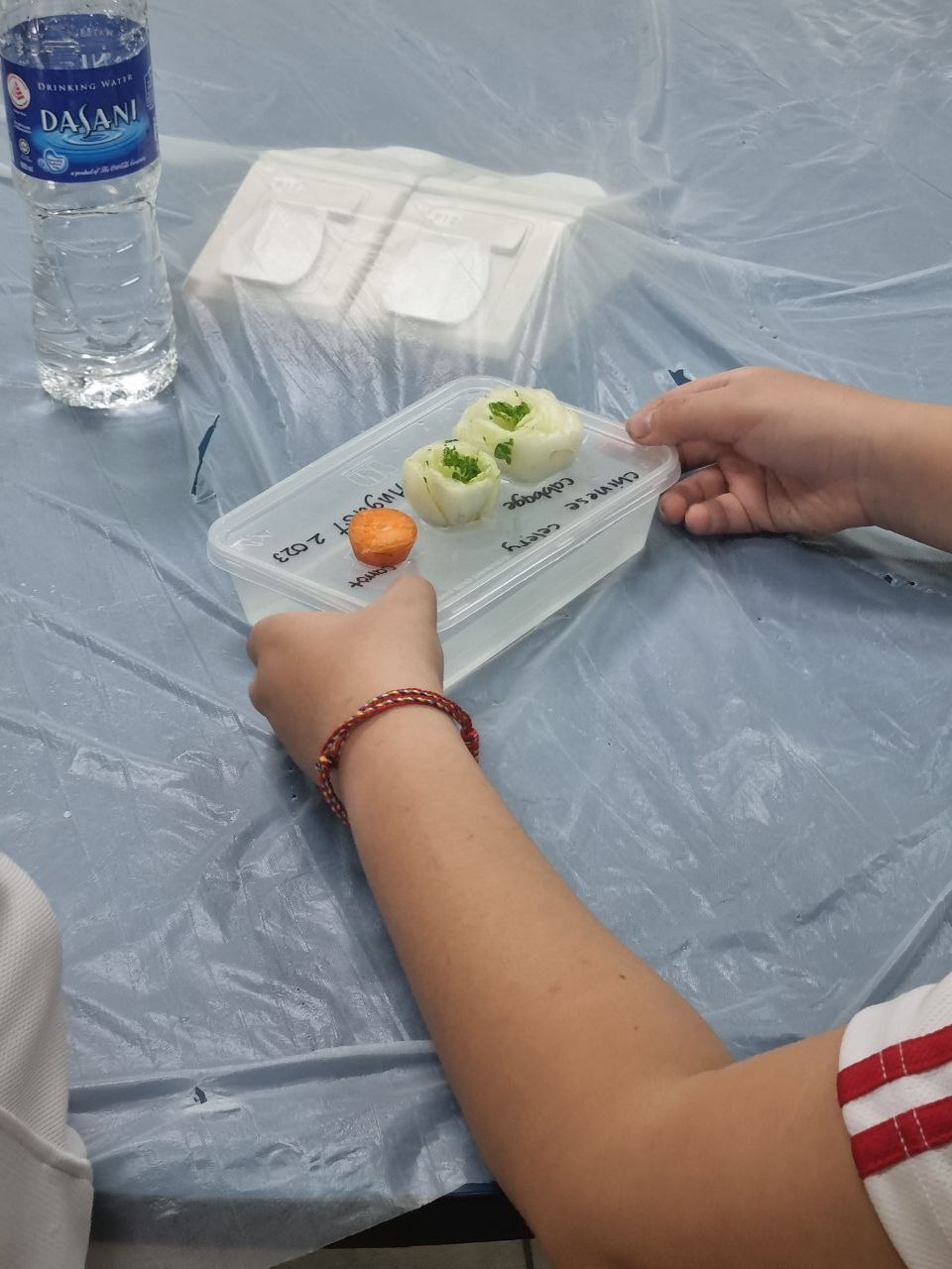 #1 Best Veggie Scrap Regrowth Workshop - Veggie Scrap Regrowth Workshop - Ecoponics Singapore - 2025 Veggie Scrap Regrowth