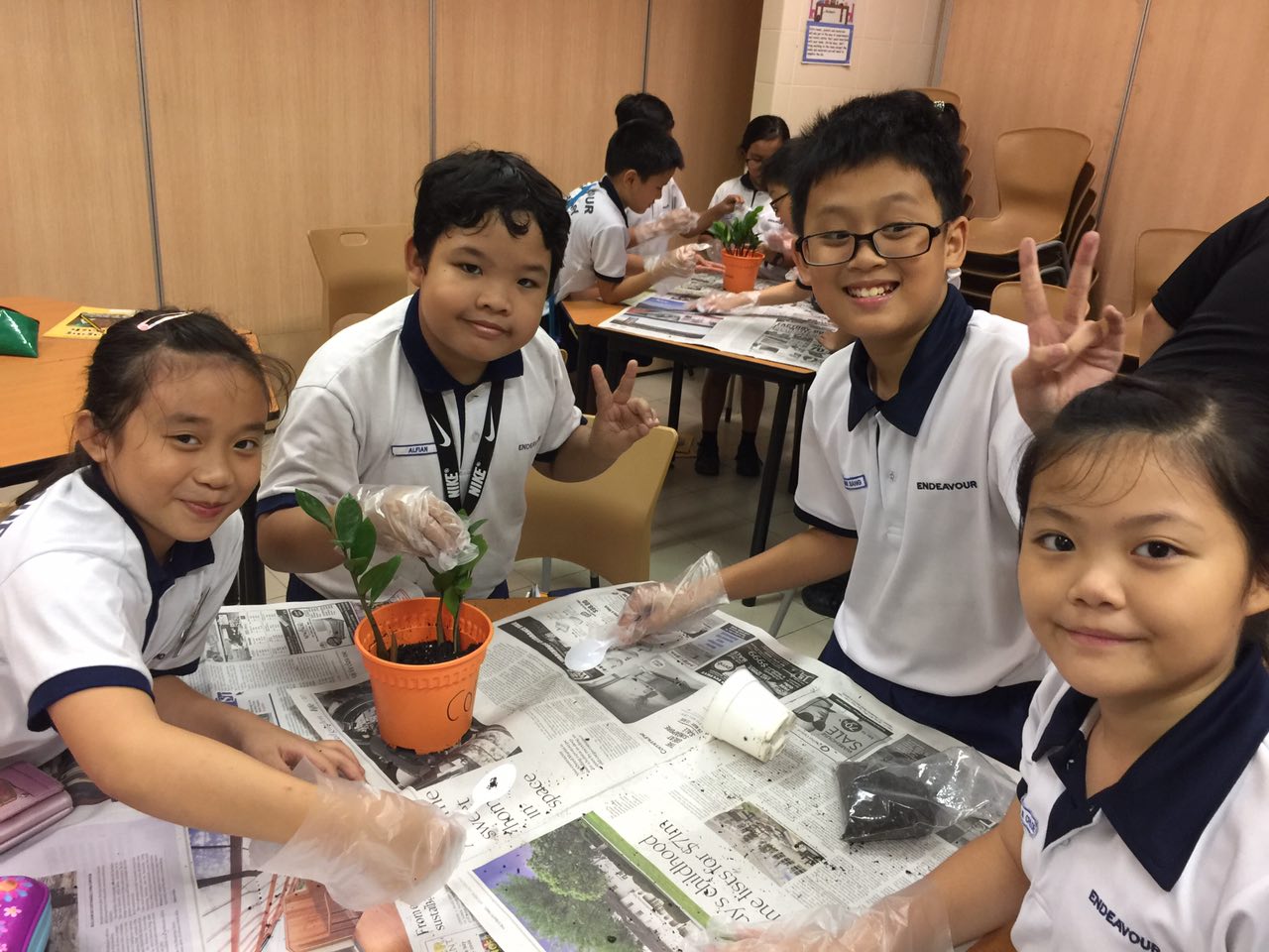 Science Activities - Science Environment Workshops - Ecoponics Singapore - 2025