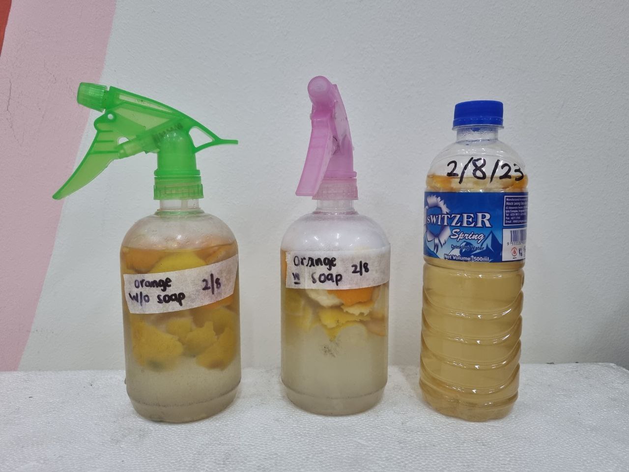 Science Activities - Science Environment Workshops - Ecoponics Singapore - 2025