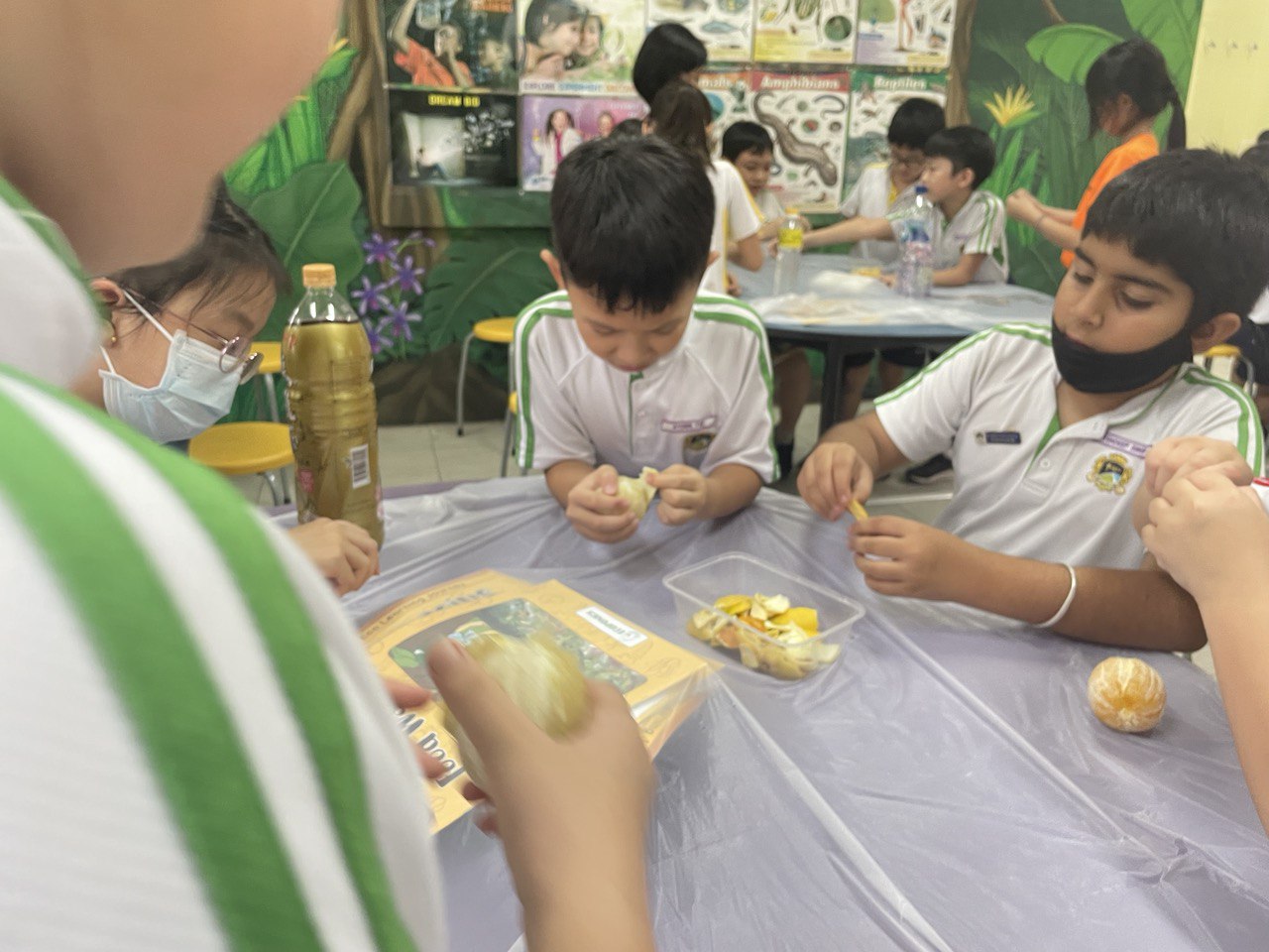 Science Activities - Science Environment Workshops - Ecoponics Singapore - 2025