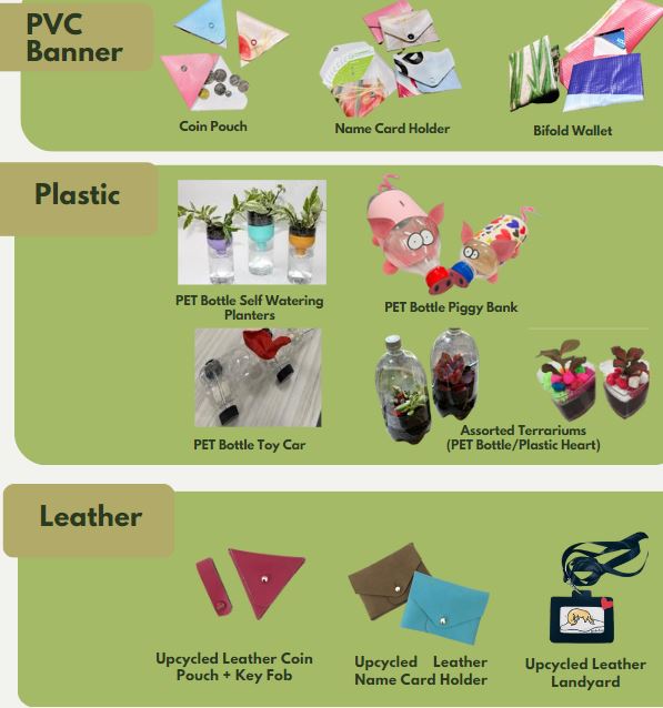 Science Activities - Science Environment Workshops - Ecoponics Singapore - 2025