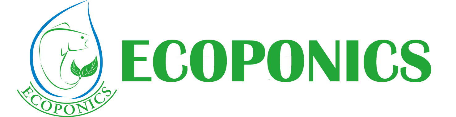 Hydrokit - Hydroponics Kit - Ecoponics Singapore - 2025