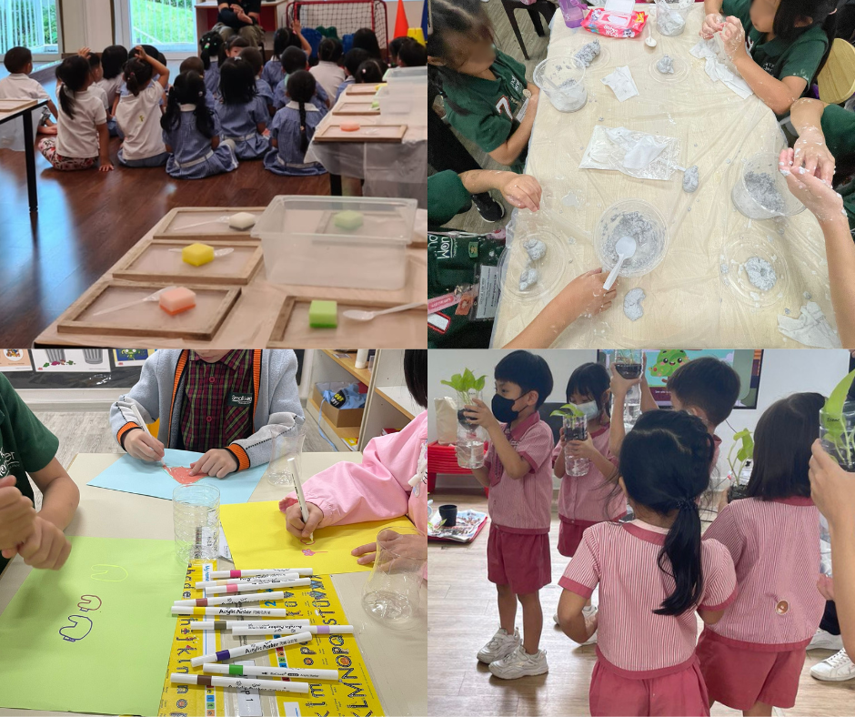 Kindergarten Workshops - Kindergarten Workshops - Ecoponics Singapore - 2025 Kindergarten Workshops - Kindergarten Workshops - Ecoponics Singapore - 2025