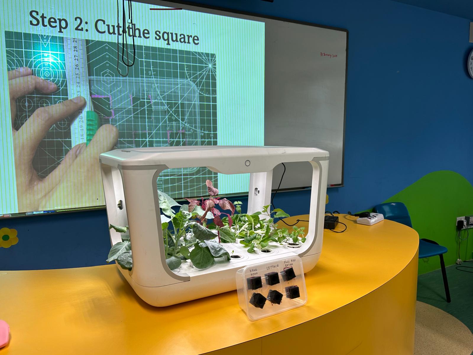 Urban Farming Learning Journey - Urban Farming Learning Journey - Ecoponics Singapore - 2025