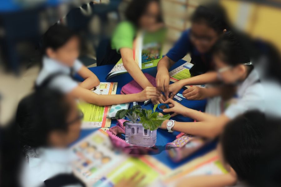 Urban Farming Learning Journey - Urban Farming Learning Journey - Ecoponics Singapore - 2025