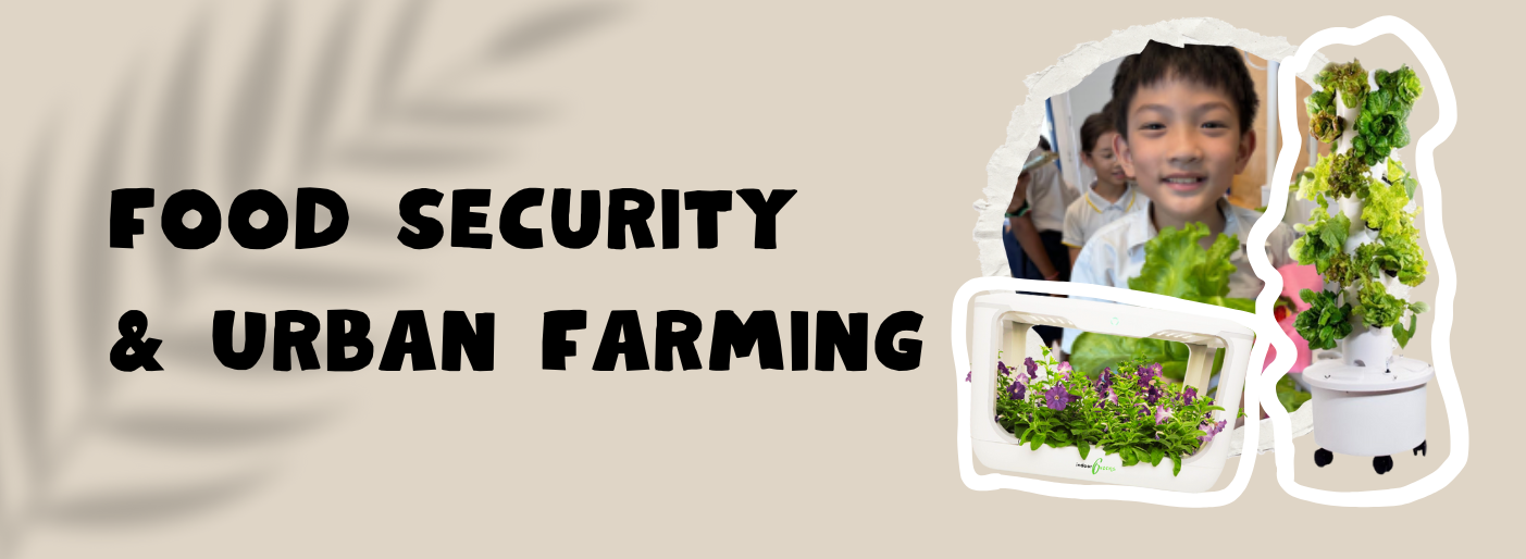 Urban Farming Singapore - urban farming - Ecoponics Singapore - 2025 Urban Farming Singapore - urban farming - Ecoponics Singapore - 2025