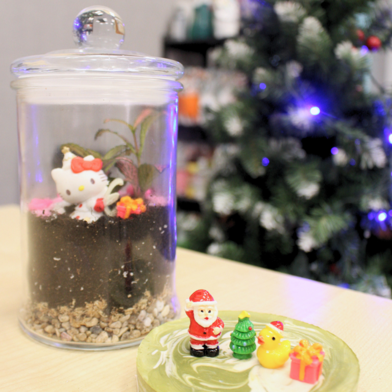 Christmas & School Holidays - Green Gardening - Ecoponics Singapore - 2025