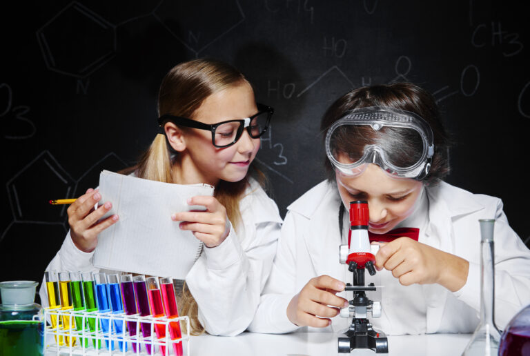 Blog - How Does a Terrarium Work - Ecoponics Singapore - 2025 Science Workshop